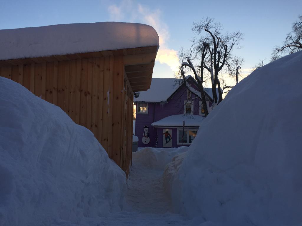 Blockhaus An Der Skiwiese 브라운라제 외부 사진