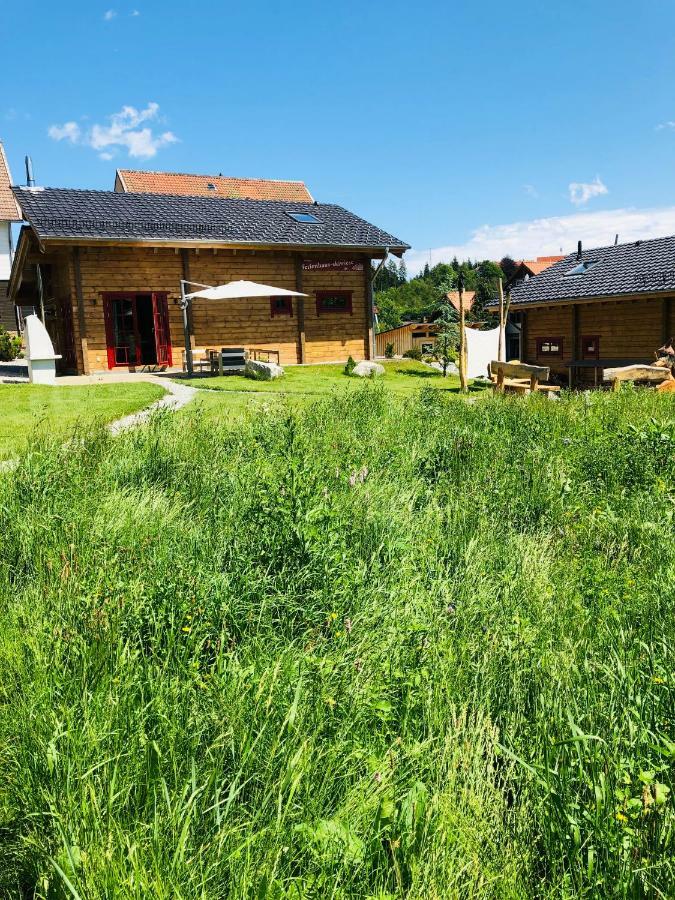 Blockhaus An Der Skiwiese 브라운라제 외부 사진